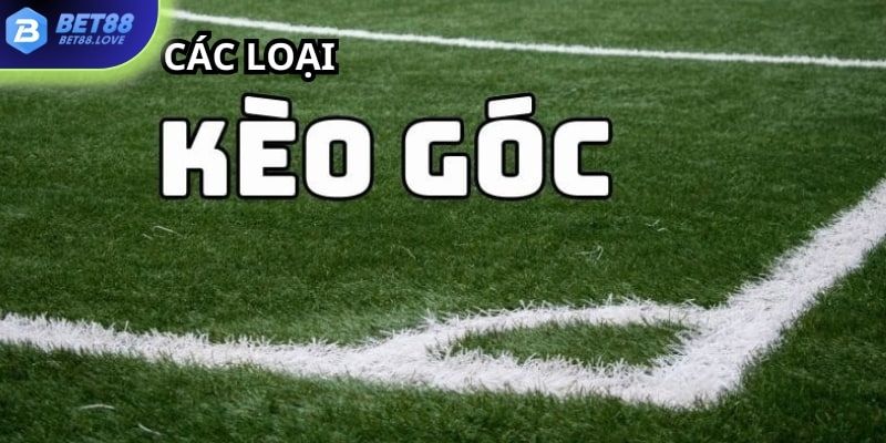 Những loại hình soi cược phạt góc phổ biến nhất cho anh em