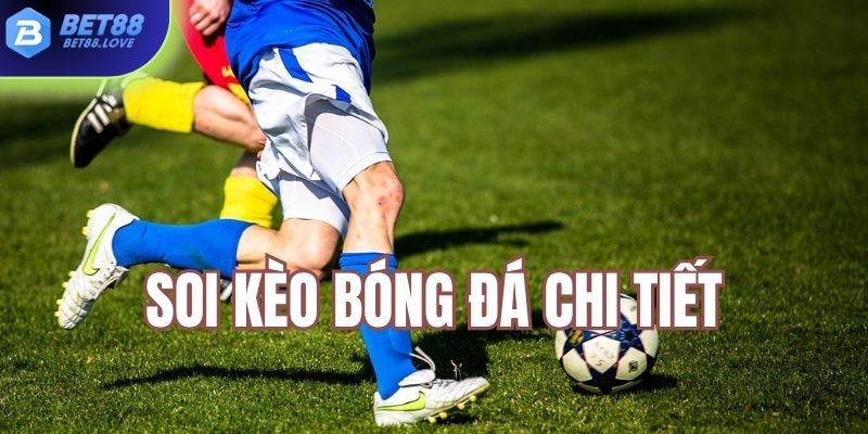 Thông tin soi kèo chi tiết