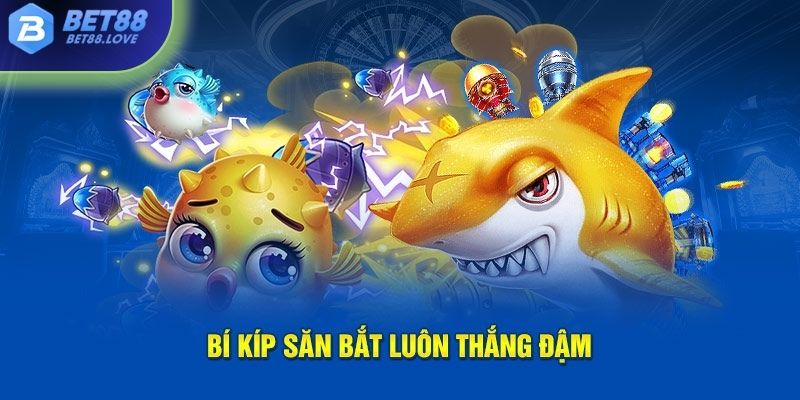 Bí kíp săn bắt luôn thắng đậm